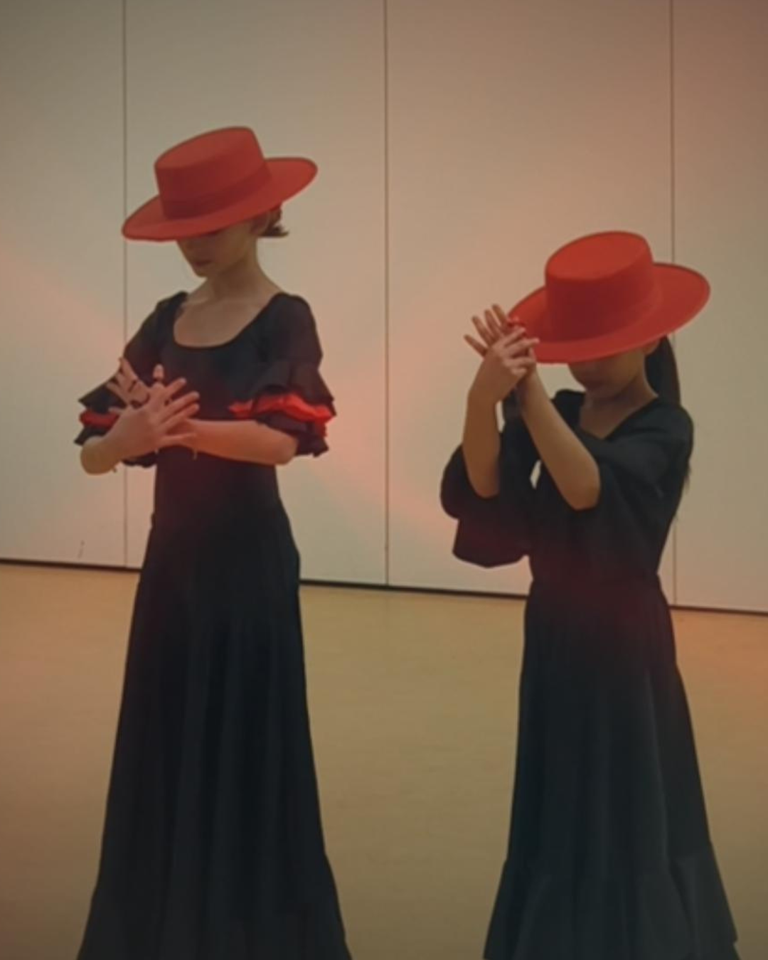 Flamencolessen voor kinderen in Enschede
